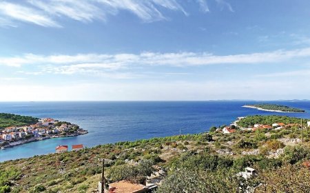 Apartman Primošten - CDJ584