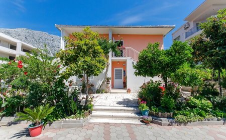 Apartment Anka Orebic