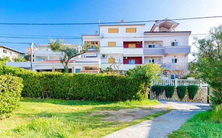 Apartment Albina Palit