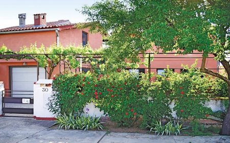 Apartman Valbandon - CIF657