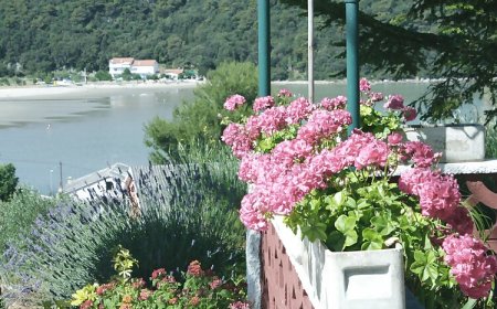 Apartmanok és Szobák Parkolóhellyel Kampor, Rab - 5064 Kampor