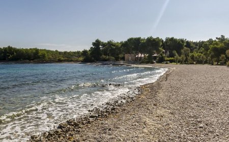 Apartments Dvornik Mirca