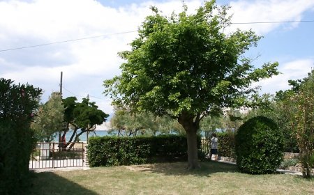 Apartmanok A Tenger Mellett Pag - 6413