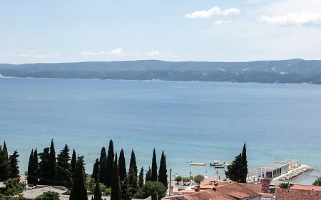 Apartments Mladen Duce