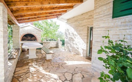 House Pygmy Cormorant Pirovac