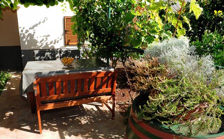 Apartmani Sara Zadar