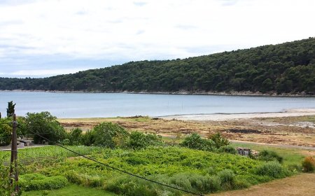 Apartmanok Parkolóhellyel Kampor, Rab - 4984 Kampor