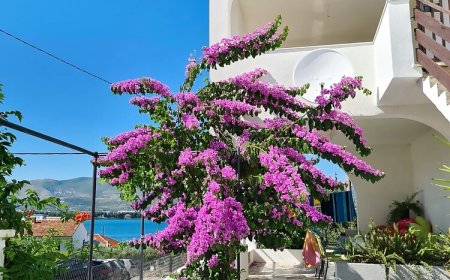 Apartment Ivica Arbanija