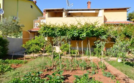 Apartments Nenad Fazana