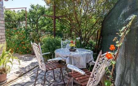 Apartmanok Parkolóhellyel Pula - 16053