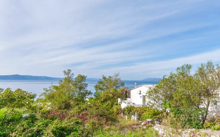 Apartment Vesna Drasnice