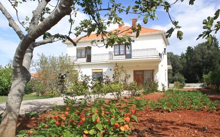 Apartmanok Parkolóhellyel Ugljan - 8493
