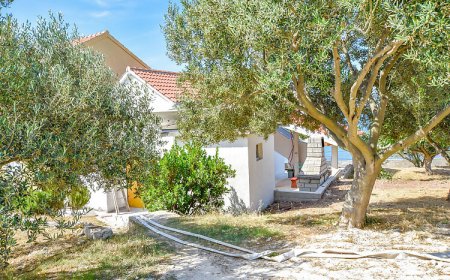 House Pine Shadow Pasman