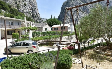 Apartment Petea Omis