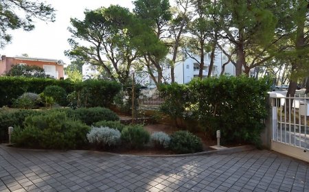 Apartments Dubravka Baska Voda