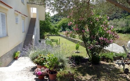 Apartmanok A Tenger Mellett Supetarska Draga - Donja, Rab - 15983 Supetarska Draga - Donja