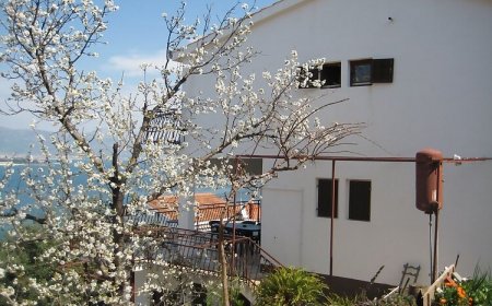 Apartman Petar Trogir