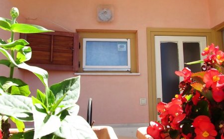 Apartments Opsenica Barbat