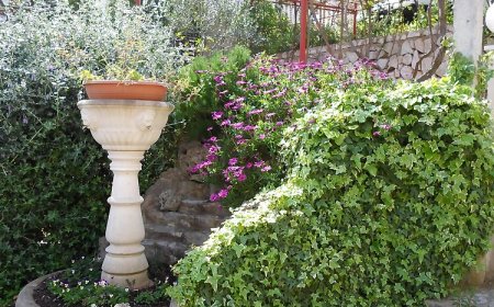 Apartments Miodrag Stupin Celine