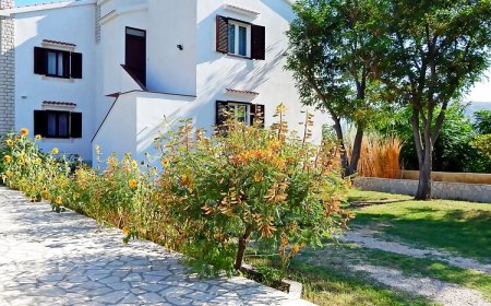 Apartments Rajko Pag