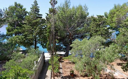 Apartmanok A Tenger Mellett Stara Novalja, Pag - 4142 Stara Novalja