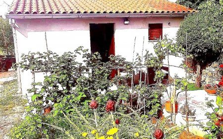 Apartman Garden Rovinj