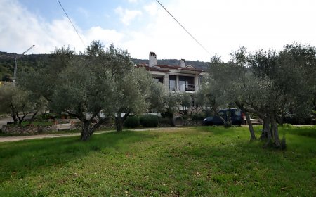Apartments Ljubomir Cres
