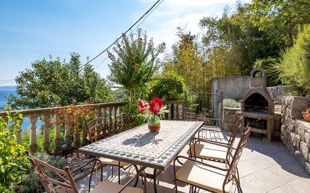 Apartman Medveja - CKO207