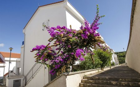 Apartment Tatjana Necujam