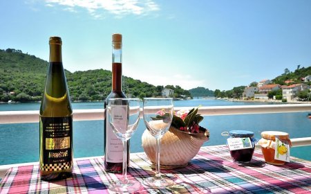 Apartments Slavica Pasadur