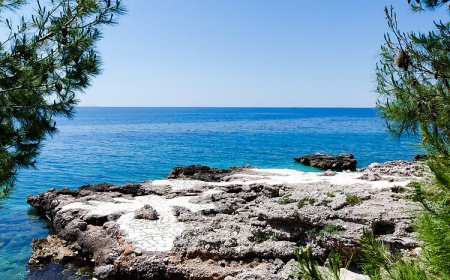 Apartments Antun Ivan Dolac