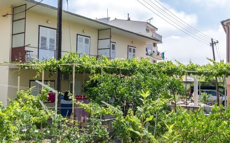 Apartment Eva P. Primosten