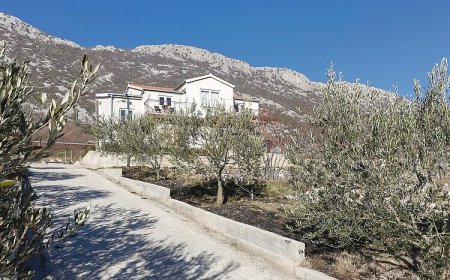 Apartman Gata - CDF507