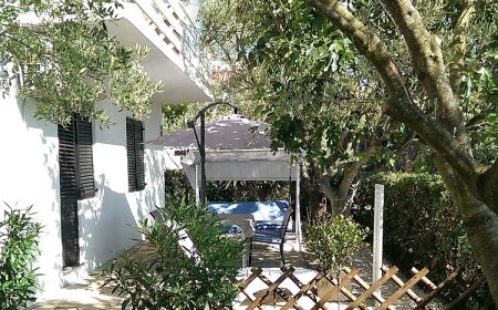 Apartmani Nevena Kožino