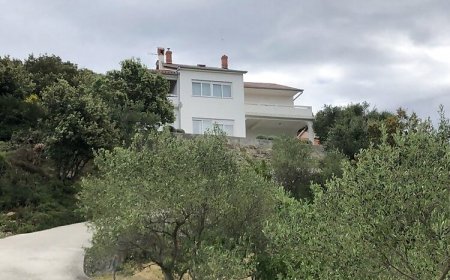 Apartmanok Parkolóhellyel Kampor, Rab - 17034 Kampor