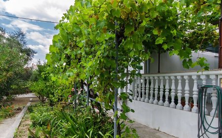 Apartment Ivica Banjol