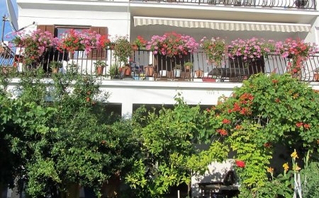 Apartments Grapevines Biograd