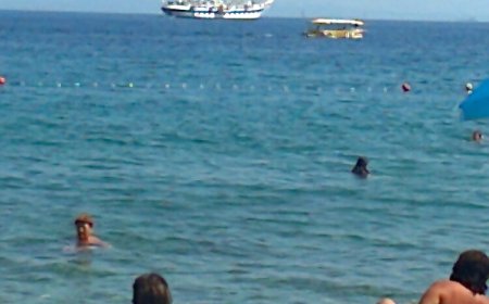 Apartment Zlatko Matulji