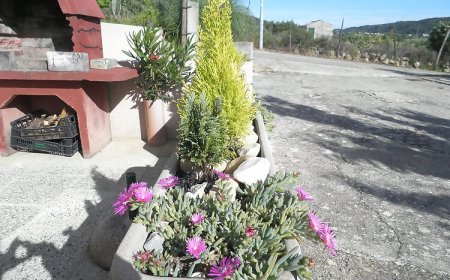 Apartments Vesna Rab II