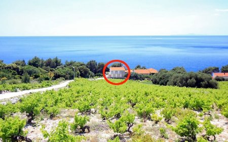 Családi Apartmanok A Tenger Mellett Dingac - Borak, Peljesac - 18060 Dingač - Borak