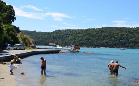 Apartments Anka Kampor