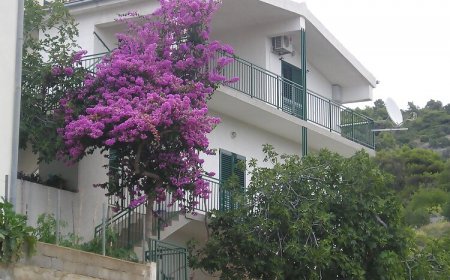 Apartmani Neva Primošten