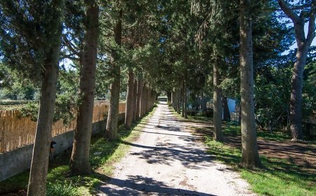 Apartmani Vransko jezero Pakoštane