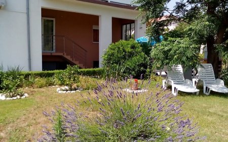 Apartmanok Parkolóhellyel Kampor, Rab - 17886 Kampor