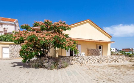 Apartman Novalja - CKP903