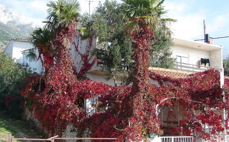 Apartmani Goge Gradac