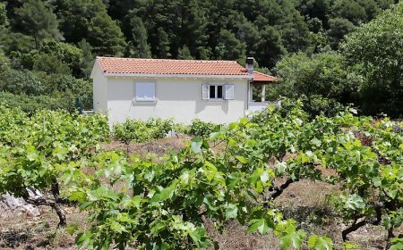 Apartmanok Parkolóhellyel Trstenik, Peljesac - 10109 Trstenik