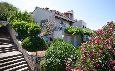 Apartman Damir Postira