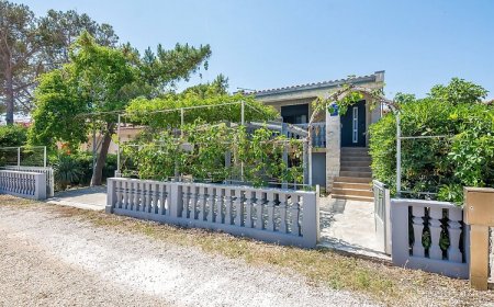 Apartmanok A Tenger Mellett Vir - Kozjak, Vir - 19094 Vir - Kozjak