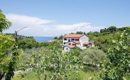 Apartmanok Internet Hozzáféréssel Veli Losinj, Losinj - 19799 Veli Lošinj